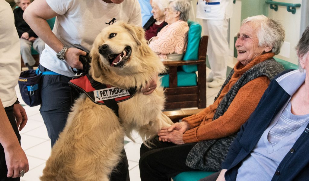 interventi di Pet Therapy in ospedale