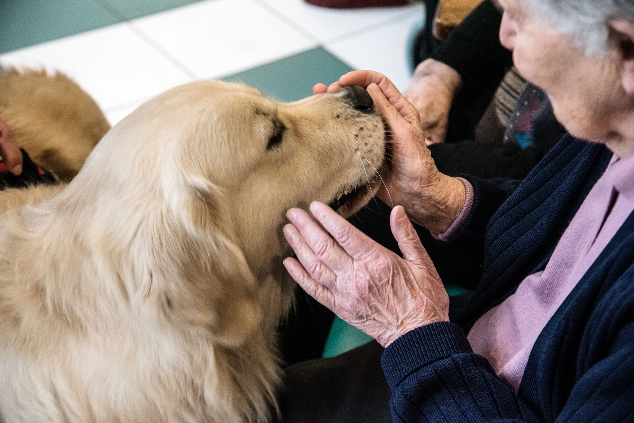 pet therapy anziani