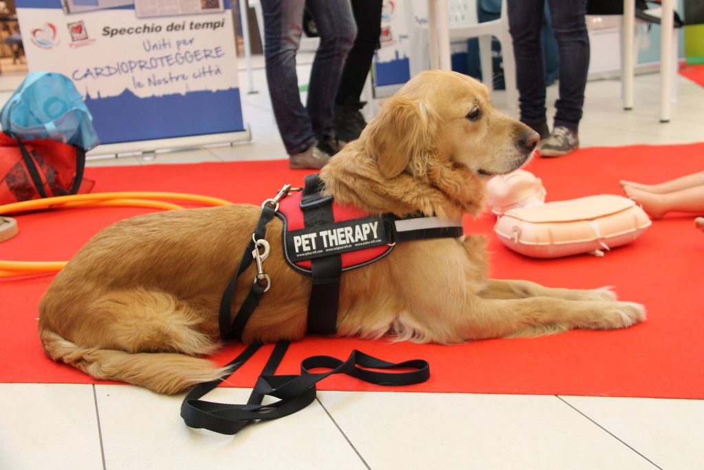 pet therapy a scuola