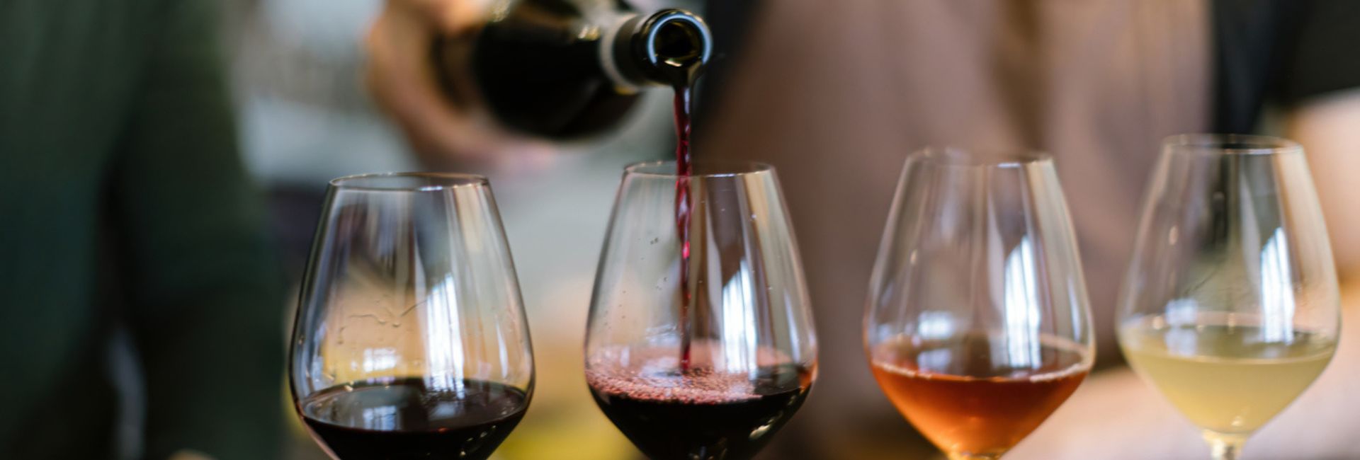 Degustazione vini Orbassano