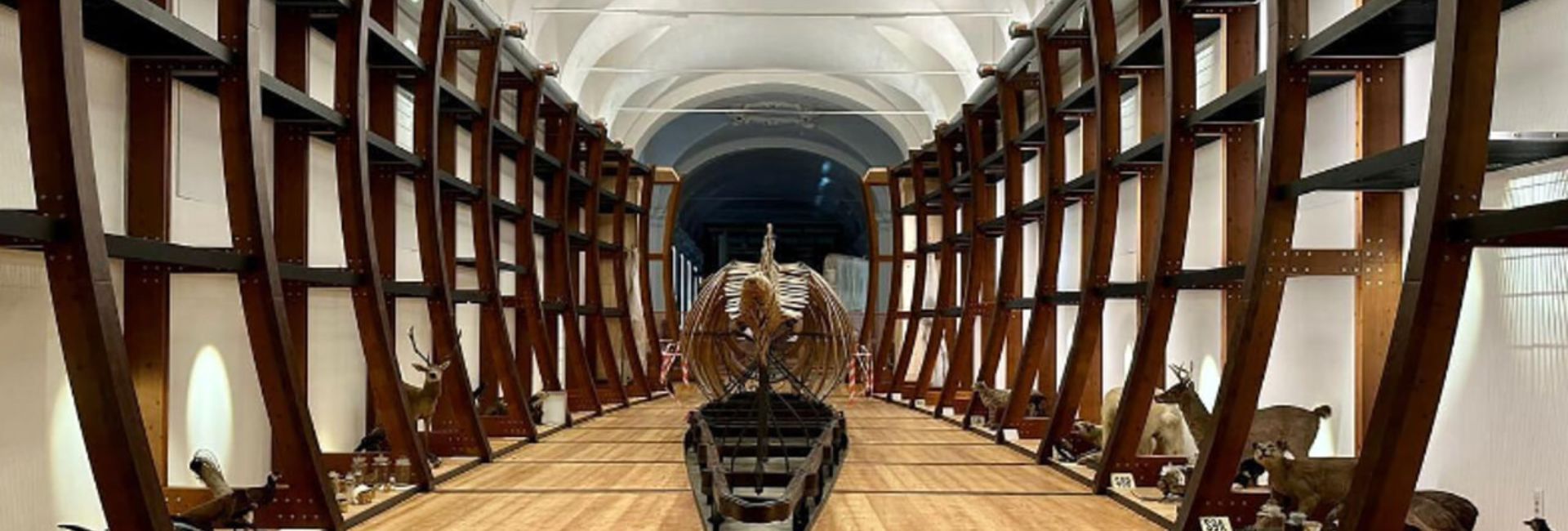 Museo Regionale di Scienze Naturali